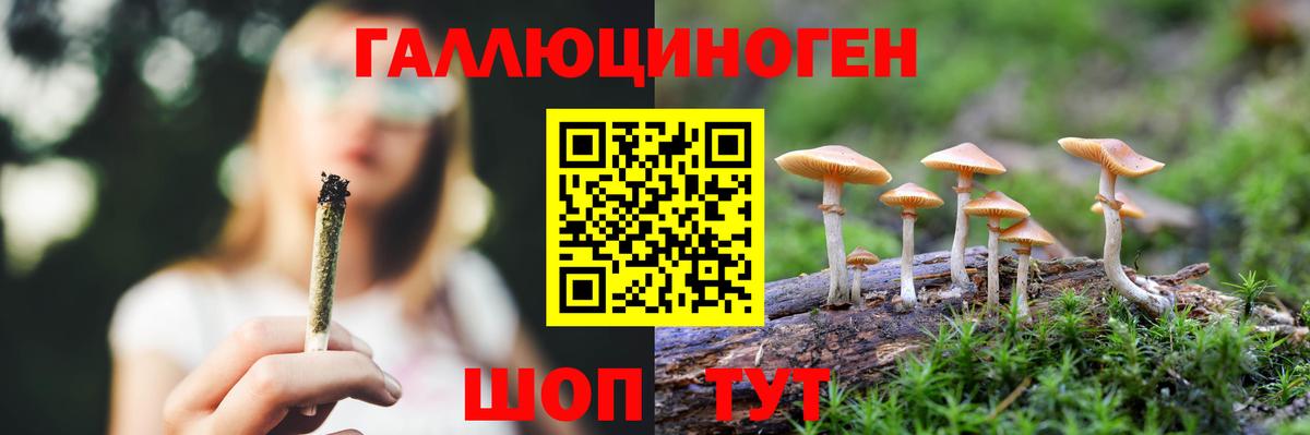 Псилоцибиновые грибы мицелий  Вход с VPN  Майкоп 