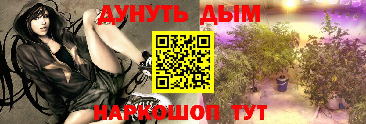 Конопля AK-47 Майкоп